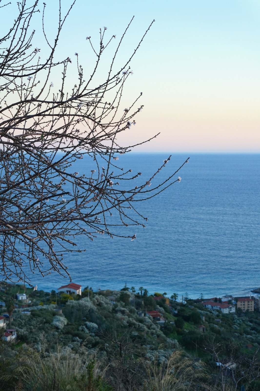 Attività Mare 4
